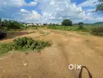 lease or rent my commercial land in Rajampet,Annamayya District.