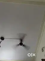 Single room for rent