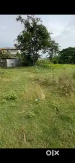 1 katha miyadi land