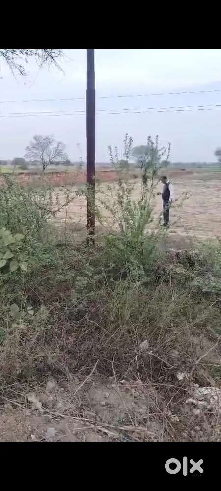 Near radha rani temple amul milk factory mant road mathura