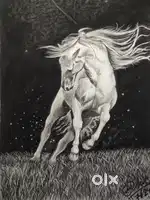 Charcoal sketch