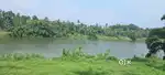 42 cent periyar water front land for sale in kanjoor,nea airport,aluva