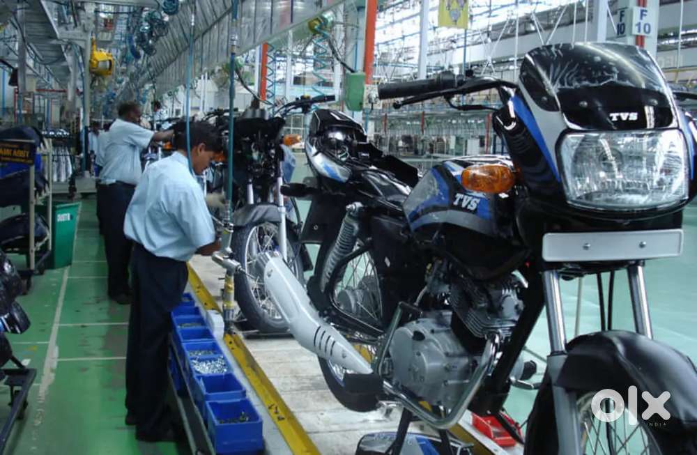 Were hiring freshers for job