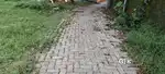 Aluva choondi near rajagiri hospital 5.8 cent house plot