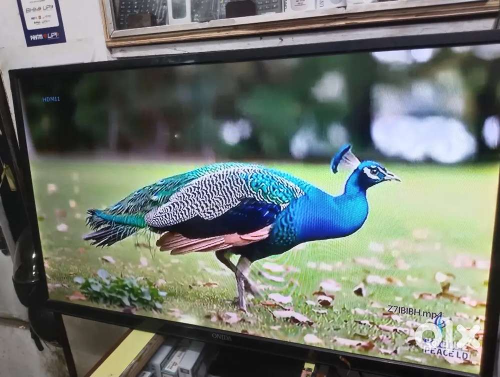 Ondia,40,sony 32, samsung 32,Lg 32,