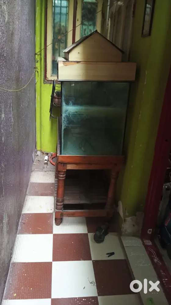 Fish tank Selling