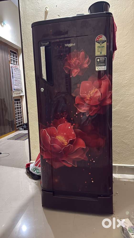 Freezr door is broken