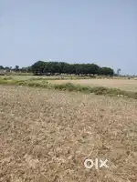 2 kattha plot