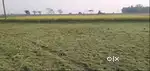 Agricultural land commercial space