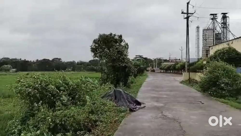 65 Guntha Land for sale in prime location clear papers