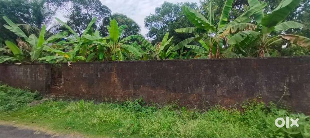 Residential Land (karabhoomi)-15 cent for sale in Chembukkavu, TSR