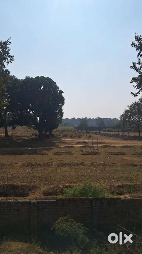 Gumla land for sale