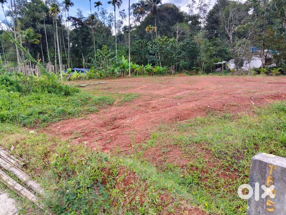 Plain plot for Sale in Kakkavayal