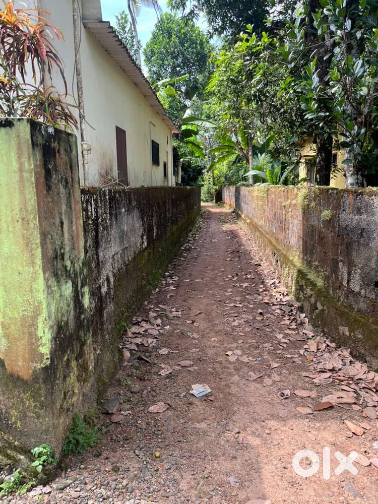 പഴയ വീടും 16.50 സെന്റ് സ്ഥലവും വിൽപ്പനക്ക്