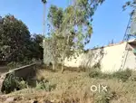 Renting this plot to company or shop or office
