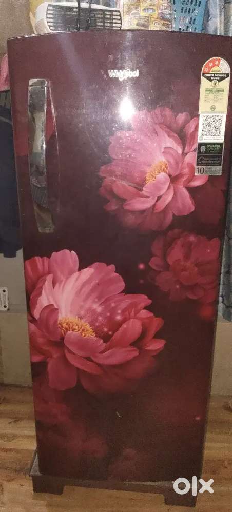 Friz sell money problem