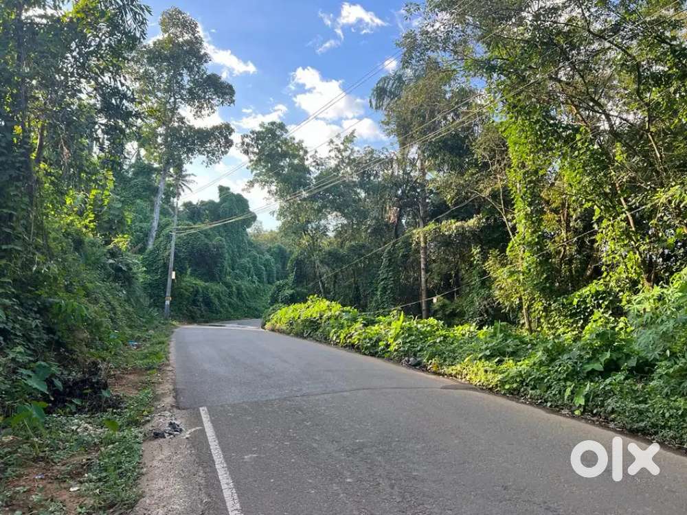 1.5 Acre plot in Thampalakkad