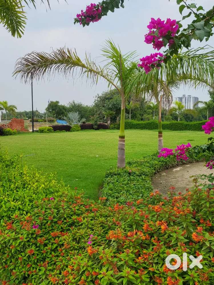 Shyam vihar face 2 near by duhai metro station ghaziabad