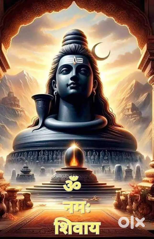 Tibri colony near bhel sector 1