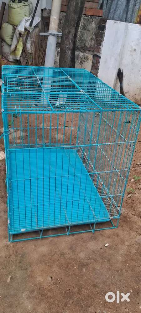 cage Bird dog