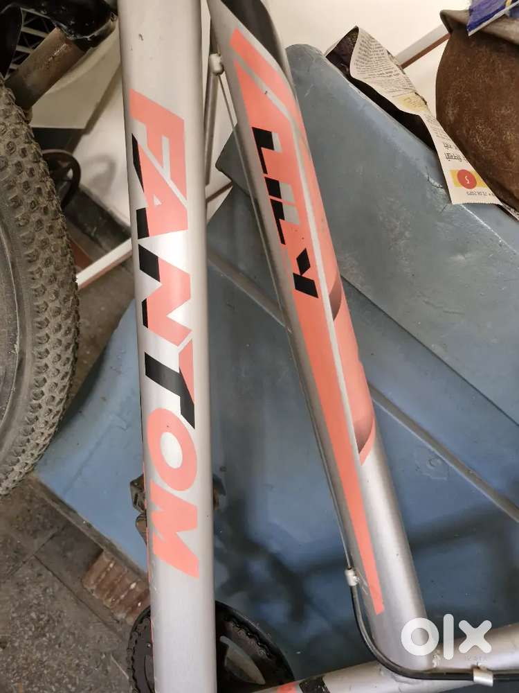 Fantom bicycle