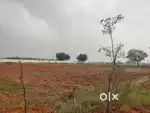 Luxury farm house plots near Tirupati IIT COLLEGE