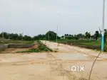 Gated Society Plot for Sale  Near Naveen Hospital Tilapta