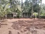 17 cent Premium House Plot For Sale In Chempu