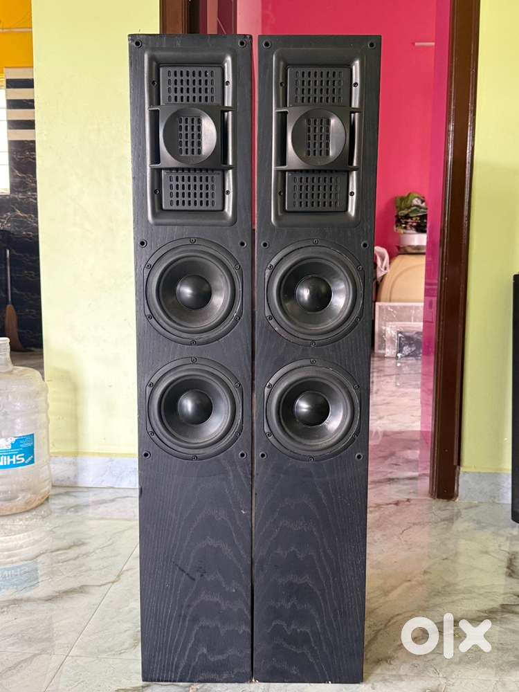 BG Radia Z92 audiophile floor standing speaker