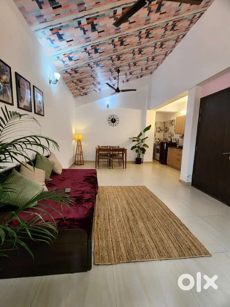 1 Bhk Spacious Fully Furnished Flats (Total 2 flats available)