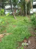 5 cents at poyyachira, 350 mtr from kakkanad civil station