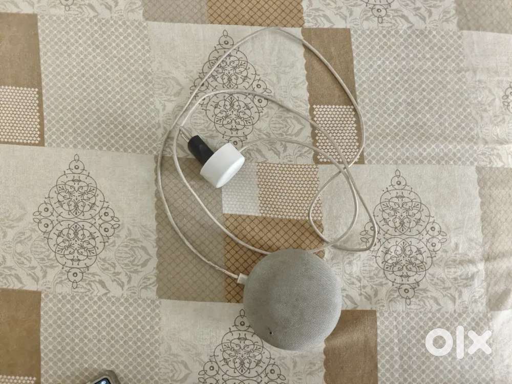 Google home mini