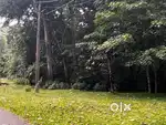 Property for sale in Munnar bison valley for resort beatiful land