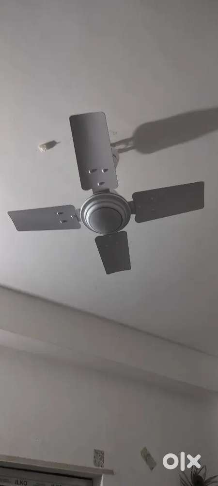 Bajaj Maxima 600mm Celling fan