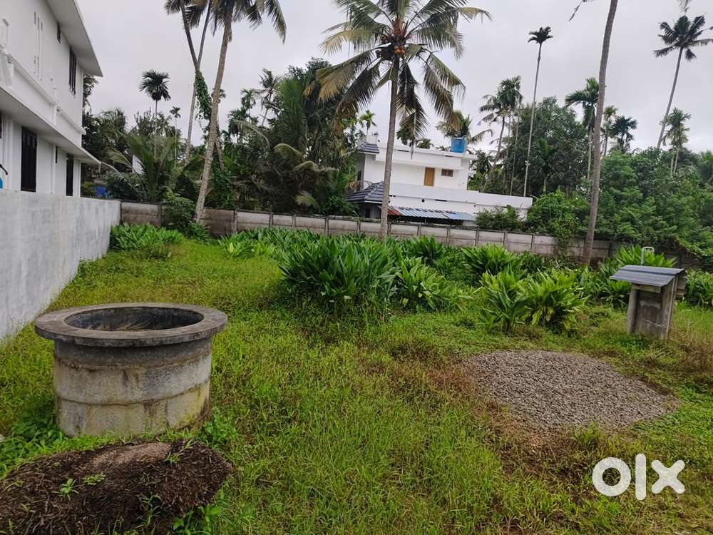 Residential Plot For Sale Near Paaliyam Temple Chendamangalam