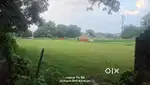 19 bissa zameen hai sale ke liye umaraha gaav me jo highway se 1km hai