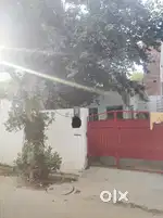 Indira nagar
