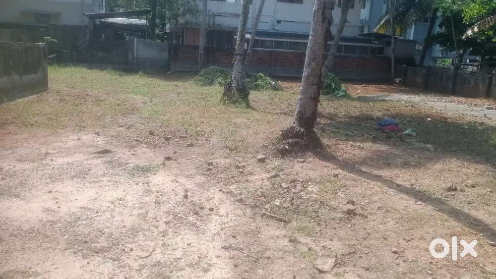 4.5,5,10 cent plot lorry site near lords hospital anayara