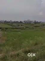 Behind Regenta resort bharatpur rajsthan