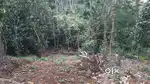 1.35 acre land for sale/lease for resort at Murickassery