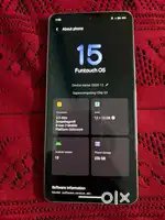 IQOO 12       12GB      256