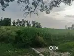 8 Bigha Khet Village Gorikalan, Shahjahanpur, U.P