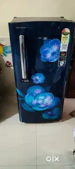 Fridge voltas