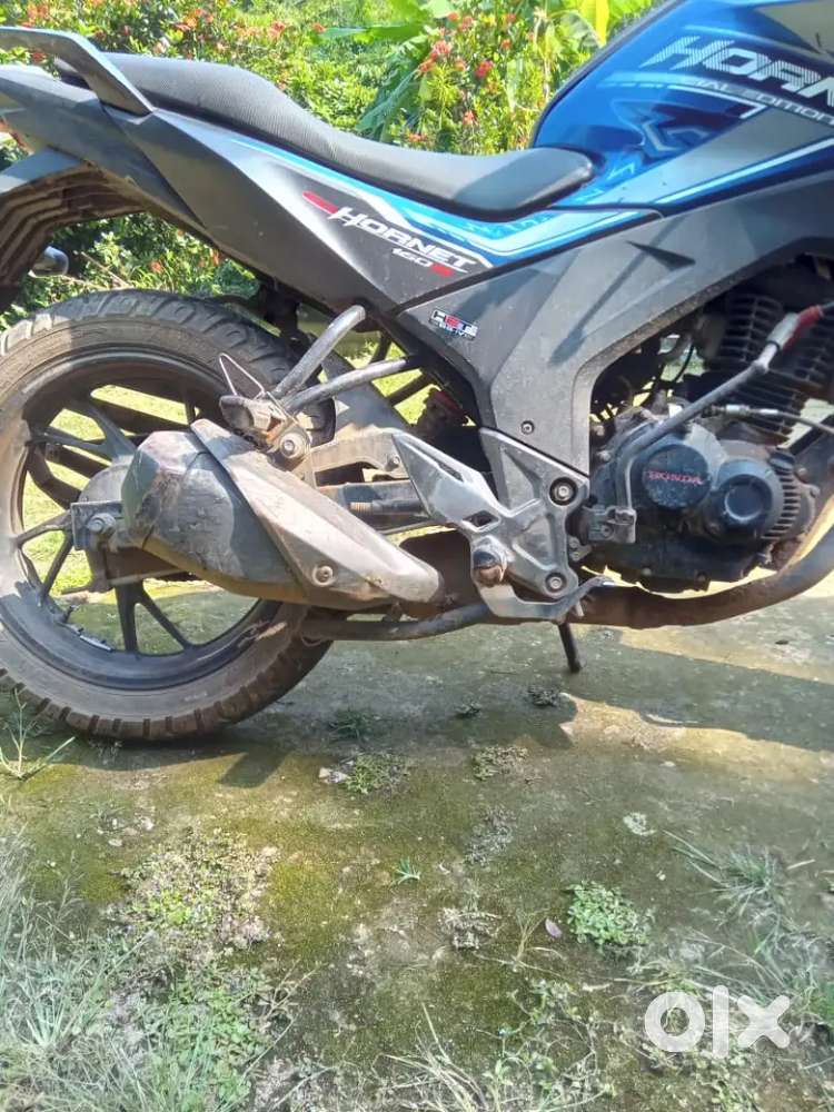 Honda Hornet for SALE