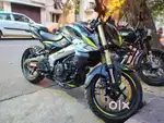 6 months old in mint condition