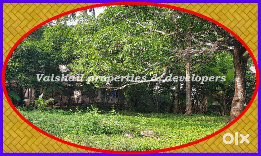 10 cents House plot - Rectangular shaped - Near Puthiyangadi