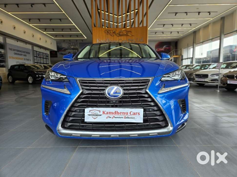 Lexus NX lexus-nx-300h-luxury, 2018, CNG & Hybrids