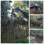 FARMLAND FOR SALE NEAR PONDA