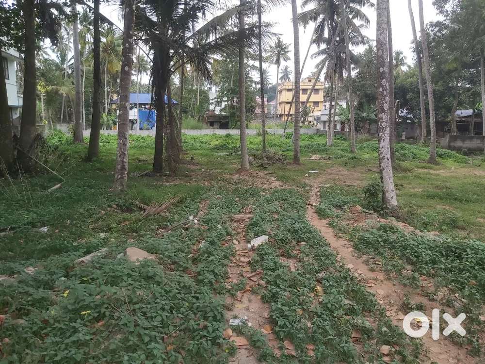 10 cents land for sale near tecnopark