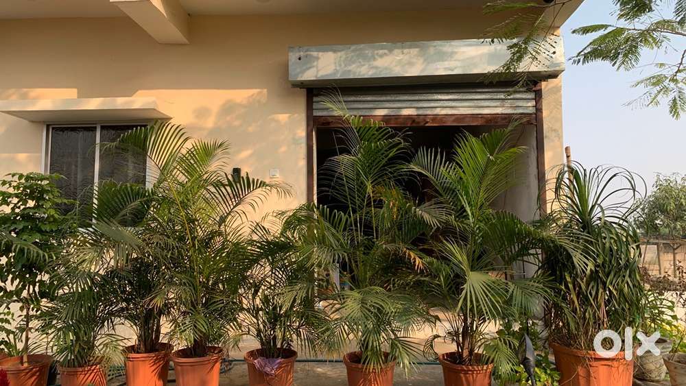 Godaam Rent pe Dena hai